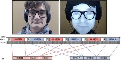 Causal Analysis of Activity in Social Brain Areas During Human-Agent Conversation